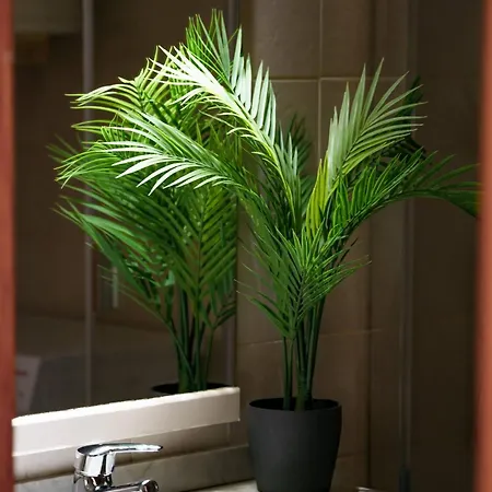 Appartement Guincho5b Puerto del Carmen (Lanzarote)