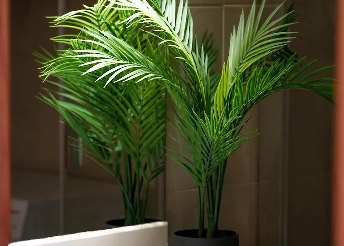 아파트 Guincho5b 푸에르토 델 카르멘